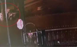 Bursa’da Kaza: 3 Genç Hayatını Kaybetti, Sürücü Tutuklandı