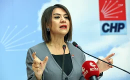 CHP Genel Başkan Yardımcısı Gamze Taşcıer’den emekli aylıkları açıklaması