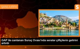 GAP ile Suruç’ta devlet destekli seralarda üretim artıyor