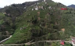 Doğu Karadeniz’de yapılaşma sorunu: Yamaçlardaki ev ve yollar heyelanları tetikliyor