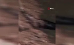Şırnak’ta Kaçak Elektrik Patlaması