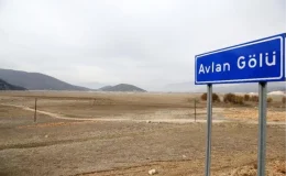 Sulak Alanların Yok Olması İnsan Medeniyetini Tehdit Ediyor