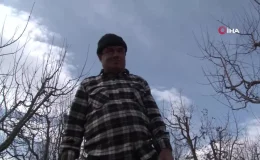 Dron korkusuyla traktörün altına saklanan baba: ‘İlaçla virüs yayacak sandım, canlı yayından yardım istedim’