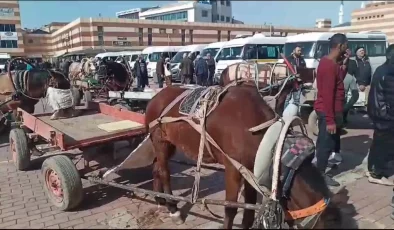Keşan Belediyesi, at arabacılarına verilen sözleri tutmadı