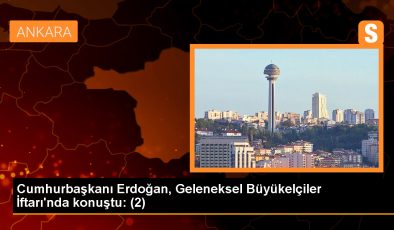 Cumhurbaşkanı Erdoğan, dost ülkelerden terör örgütlerine verilen desteğin kesilmesini bekliyor