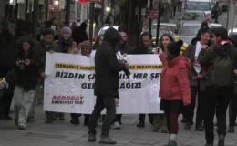İSİG, Agrobay Seracılık’ta işten çıkarılan işçilere destek için basın açıklaması yaptı