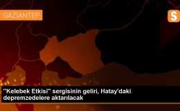 Kahramanmaraş Depreminin Yıkımına Sanatla Destek