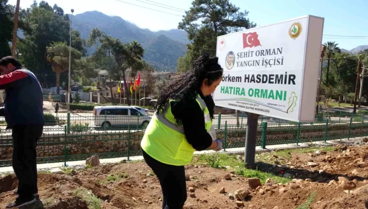 Marmaris’te Orman Haftası etkinliği: Binlerce fidan toprakla buluştu