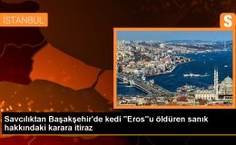 Başakşehir’de Kedi Öldüren Sanığın Cezasına İtiraz Edildi