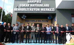 Çorum Belediyesi Hayvan Hastanesi Hizmete Açıldı