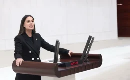 CHP Milletvekili Gizem Özcan, Turist Rehberliği Meslek Kanunu’nu eleştirdi