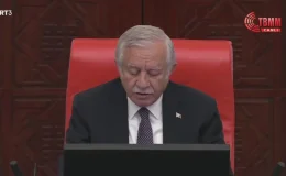 CHP Milletvekili Seyit Torun, kokarca böceği sorununa önlem alınmamasına tepki gösterdi