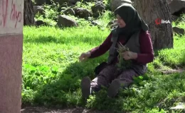 Savaştan kaçtı, Türkiye’de okuma yazma öğrendi