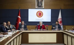 TBMM Çocuk Hakları Alt Komisyonu, ABB Çocuk Meclisi üyelerini dinledi