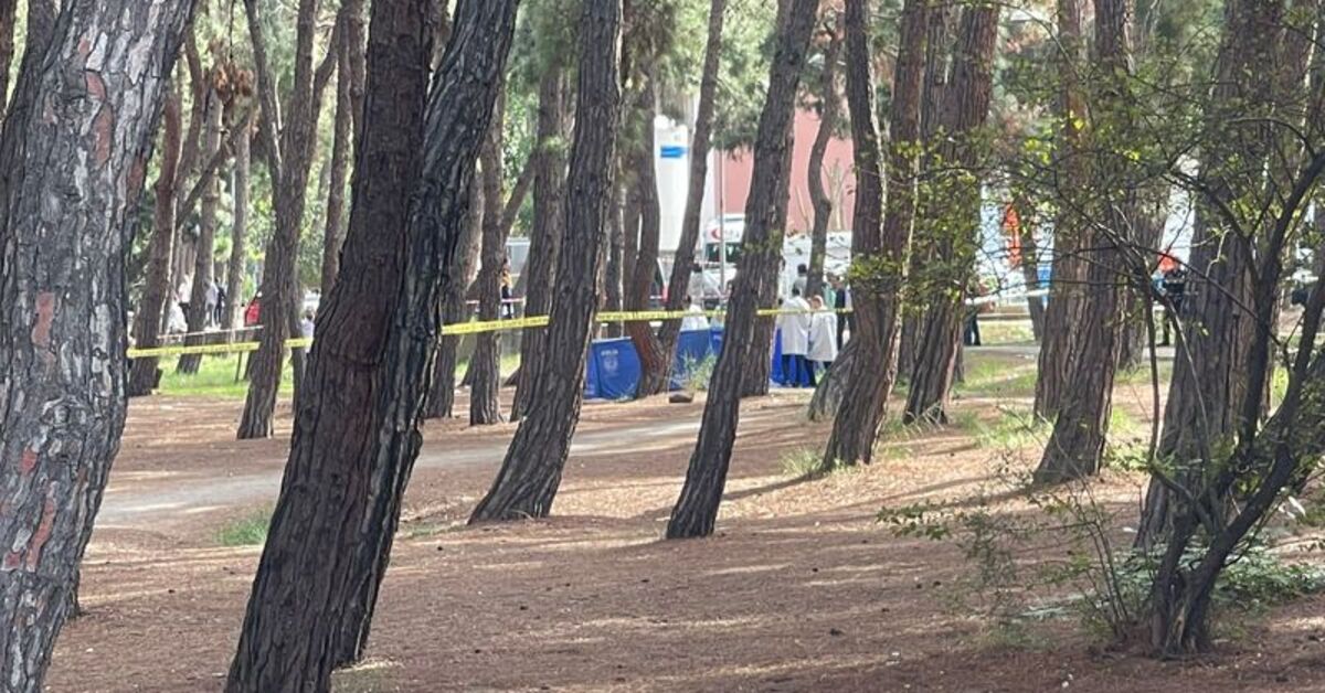 Bir kadın daha… Bakırköy Ruh Sinir Hastanesi’nin bahçesinde cinayet!